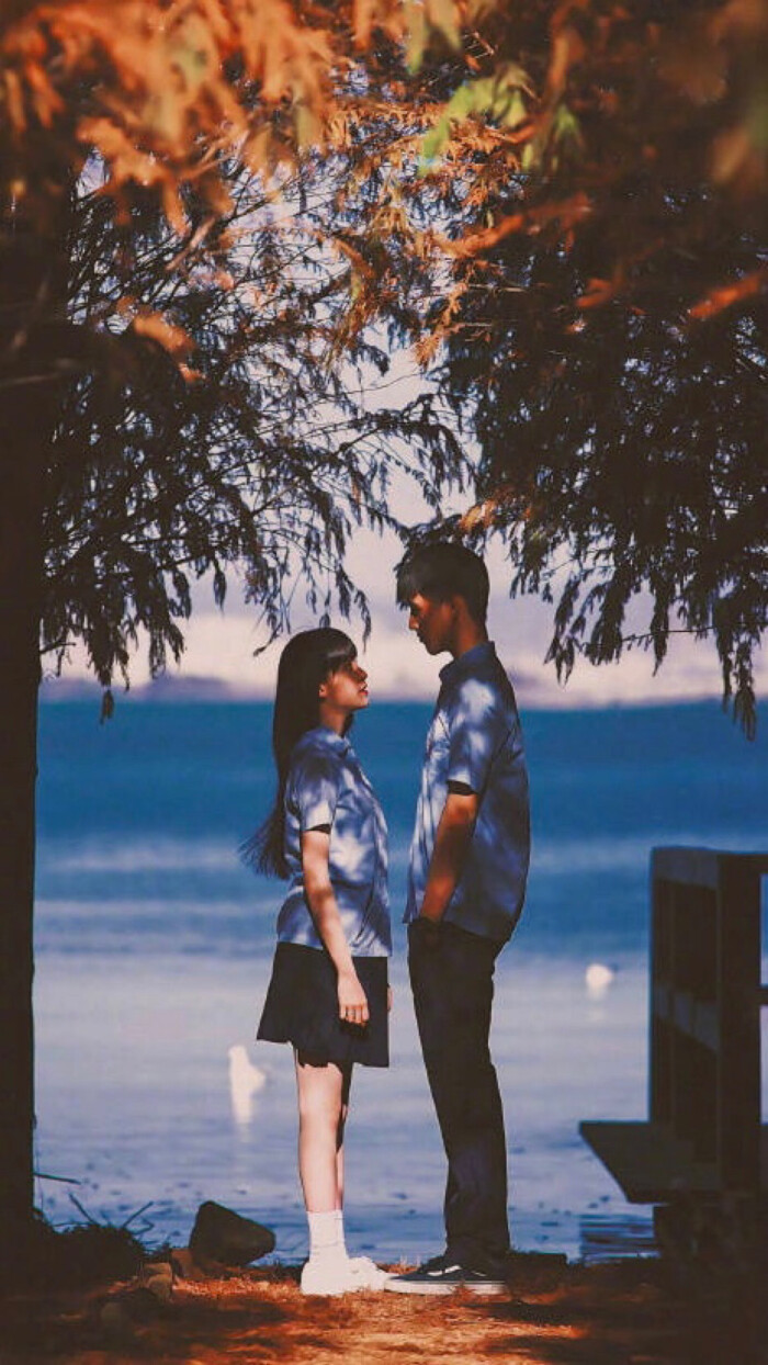 《秘果》电影版