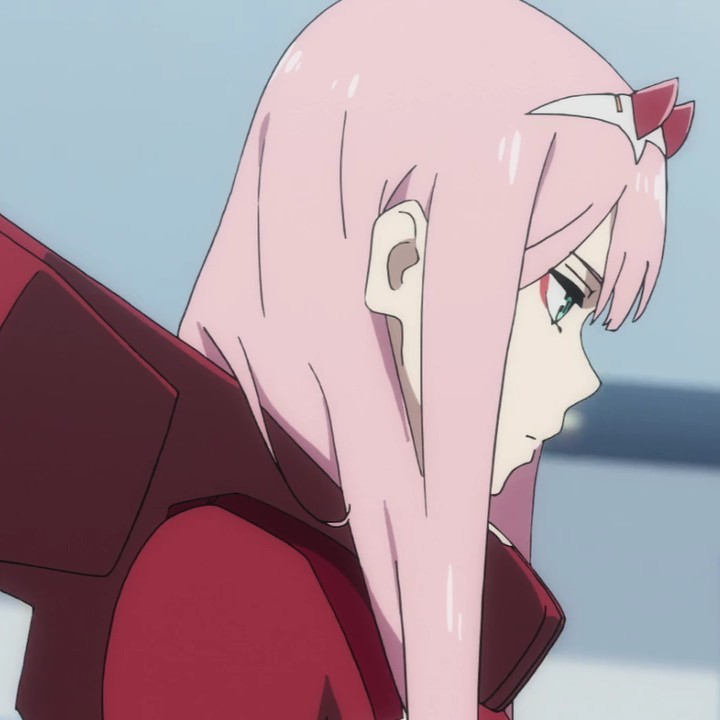 《darling in the franxx》