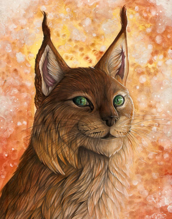 dawndelver 猞猁
