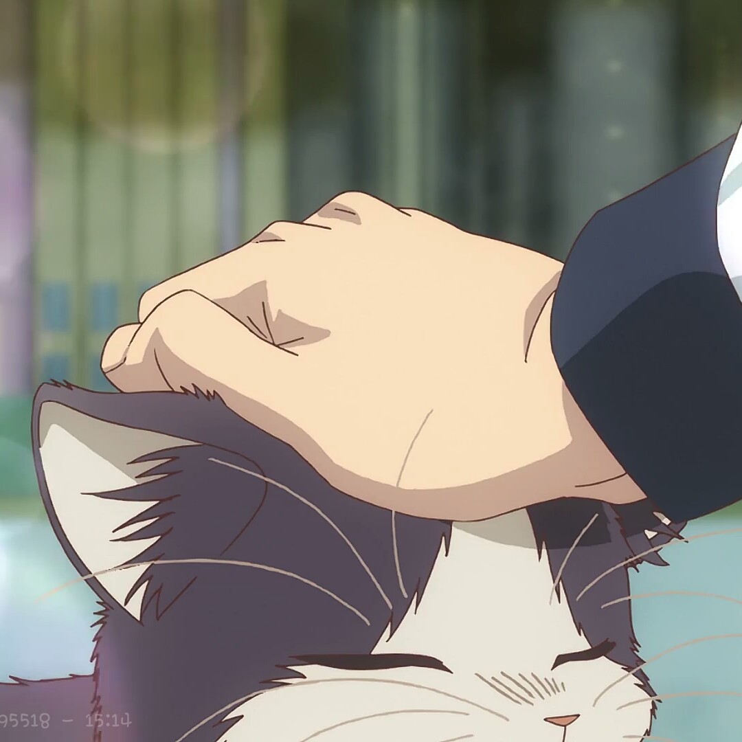 同居人是猫