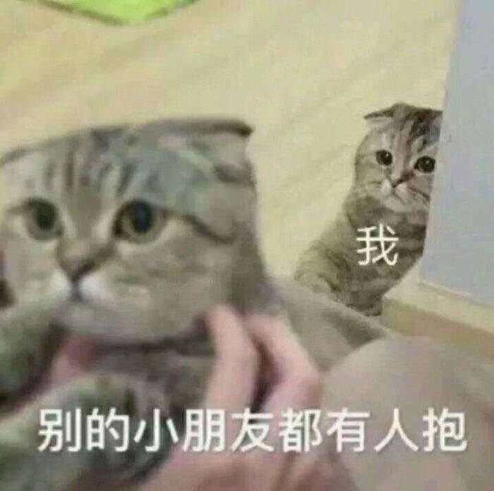 猫猫祟祟