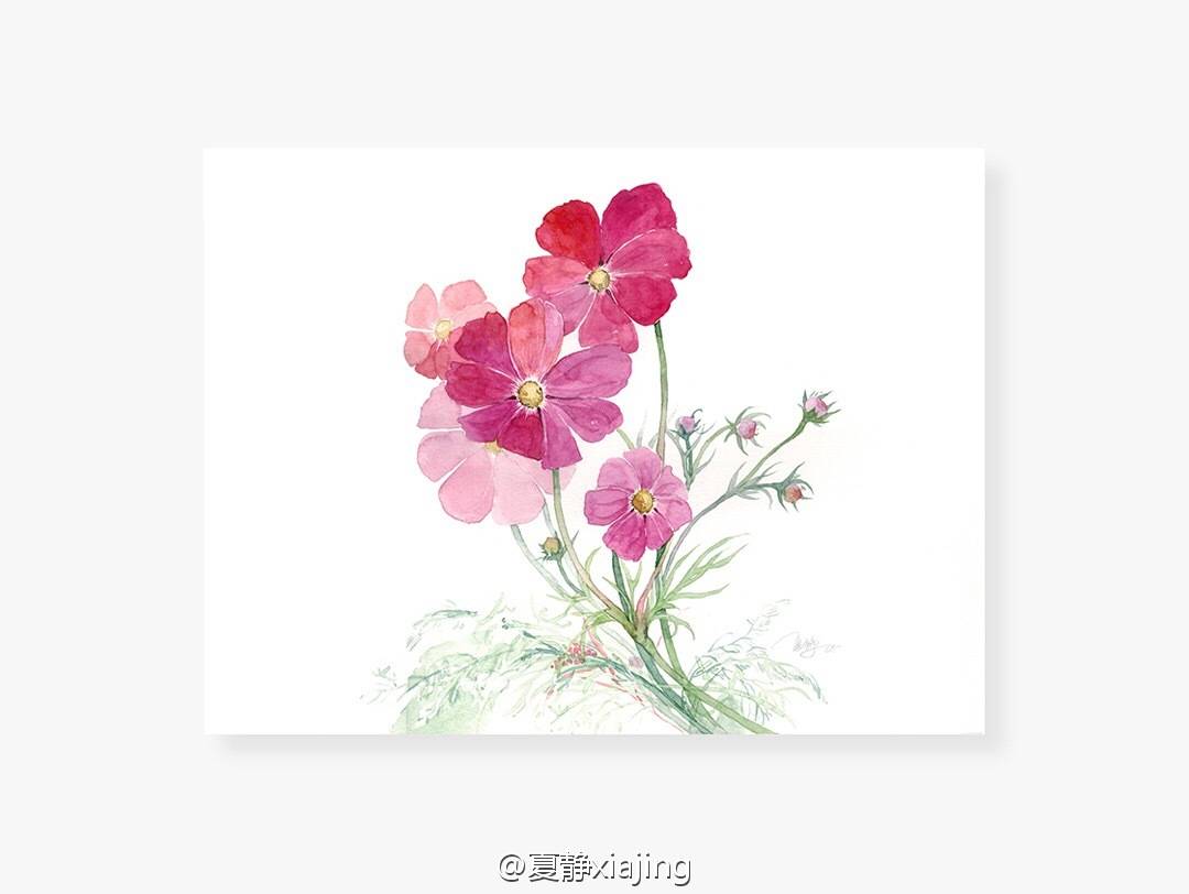 古风 古韵 中国风 手帐素材 插画 手绘 彩绘 头像 壁纸