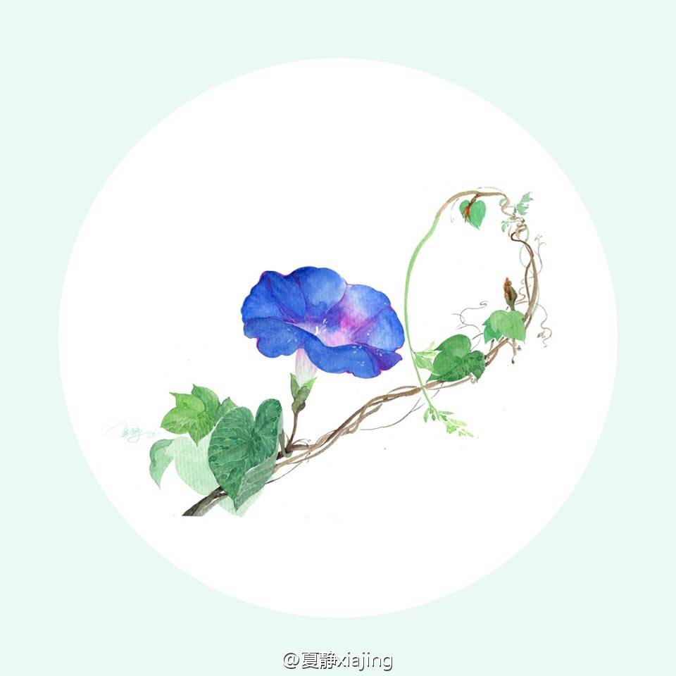 古风 古韵 中国风 手帐素材 插画 手绘 彩绘 头像 壁纸