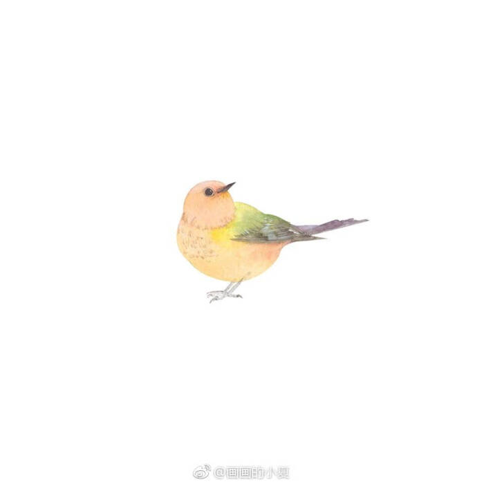 古风 古韵 中国风 手帐素材 插画 手绘 彩绘 头像 壁纸