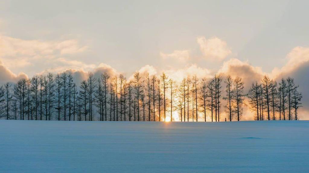 有生之年想去一次北海道.ins:travelholic_insta