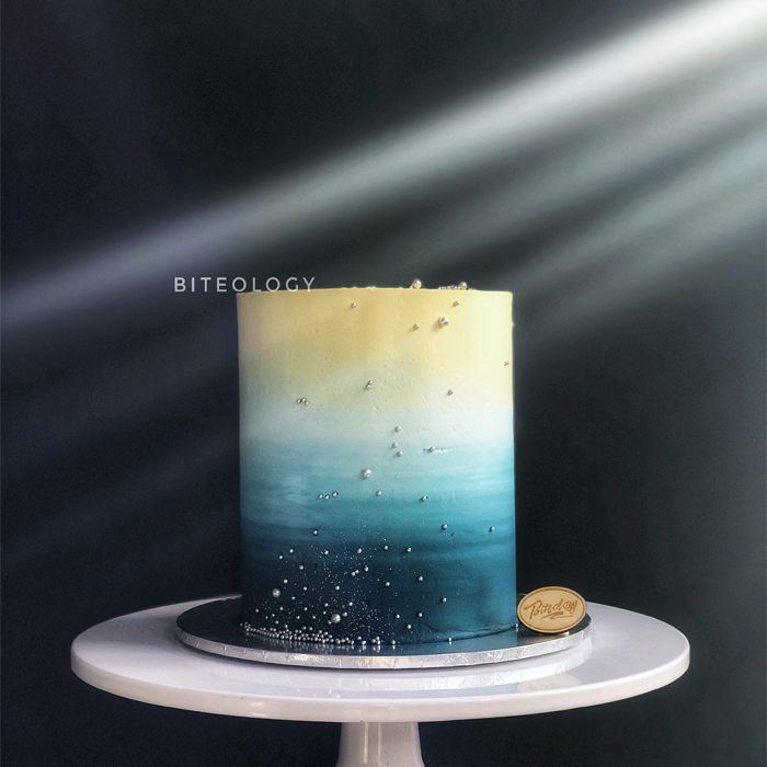 C042 Biteology 天王星 加高生日蛋糕创意蛋糕