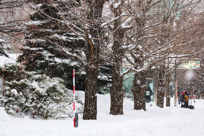 √不由自主的伸手去接纷纷扬扬的雪花 √