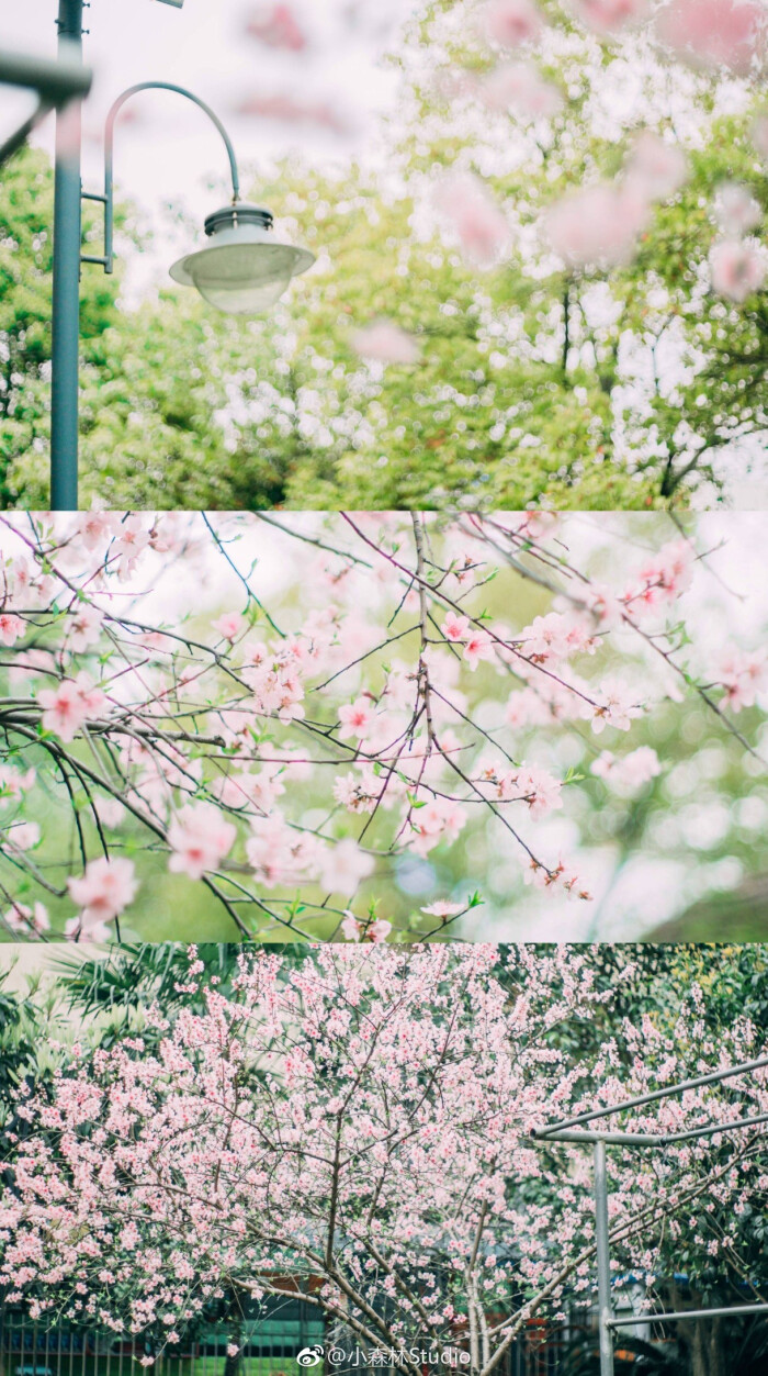 花开花落,云卷云舒