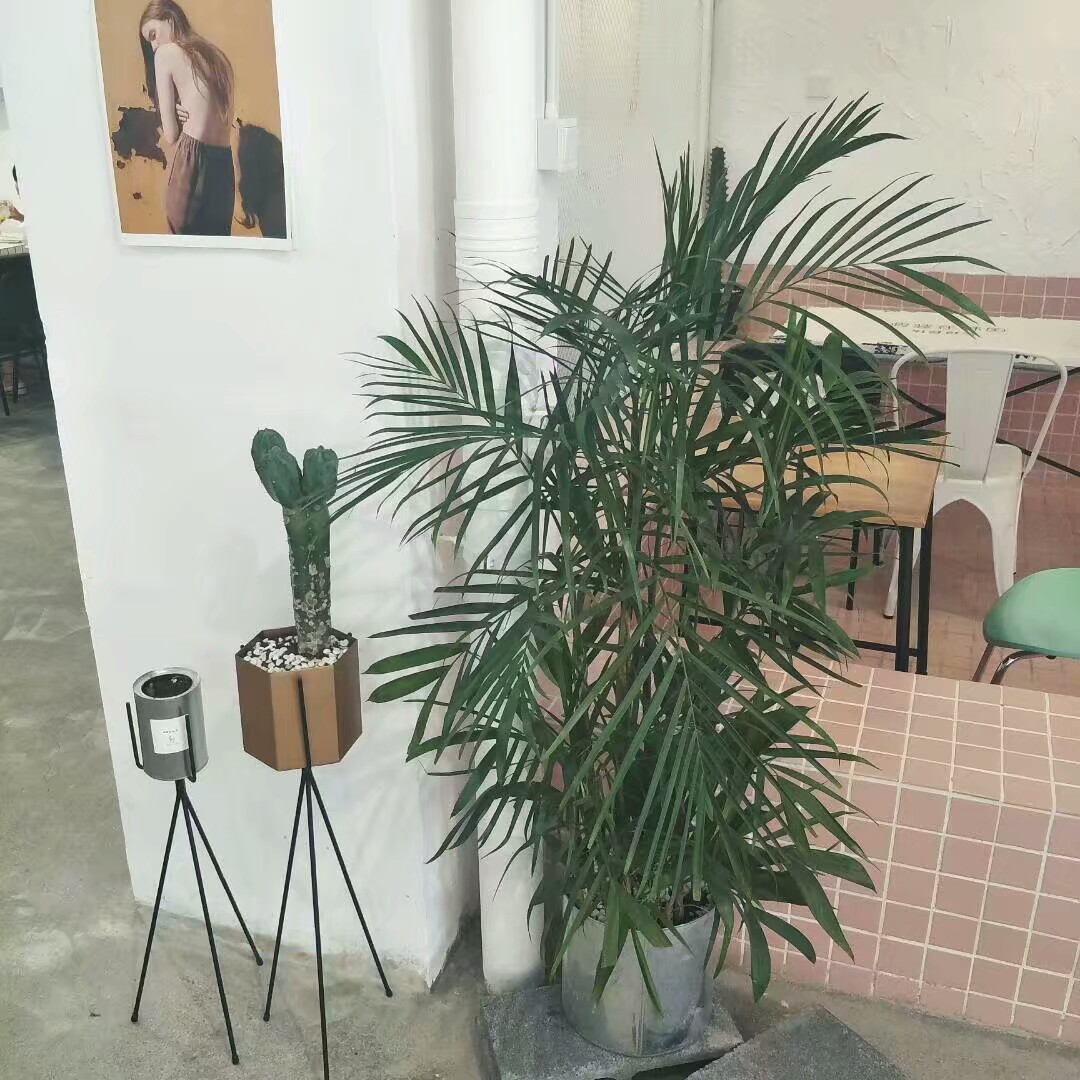 ins风 背景图