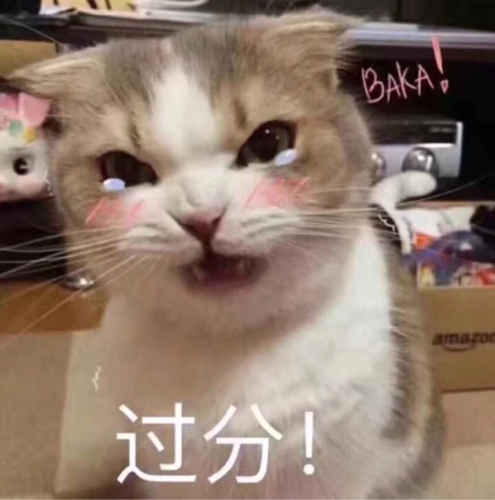 可爱猫咪表情包