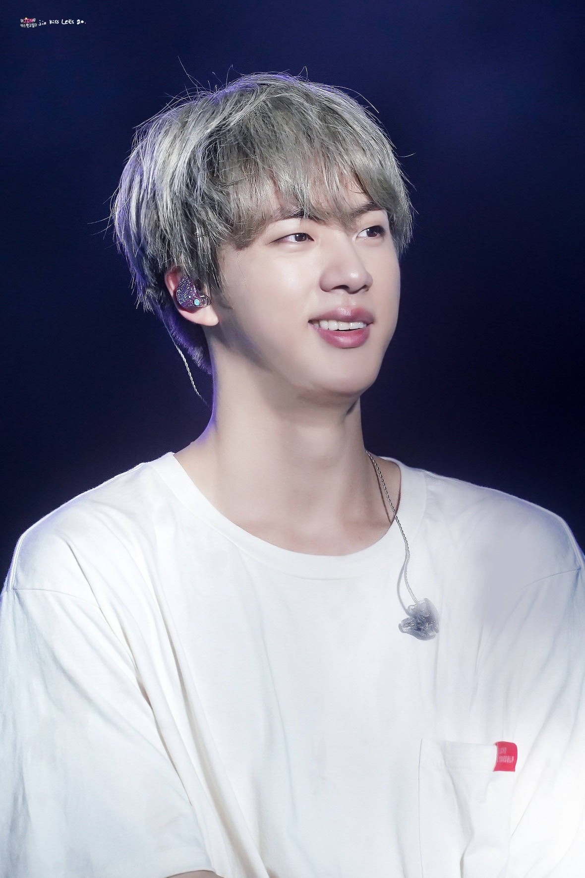 bts world tour "love yourself" in singapore jin