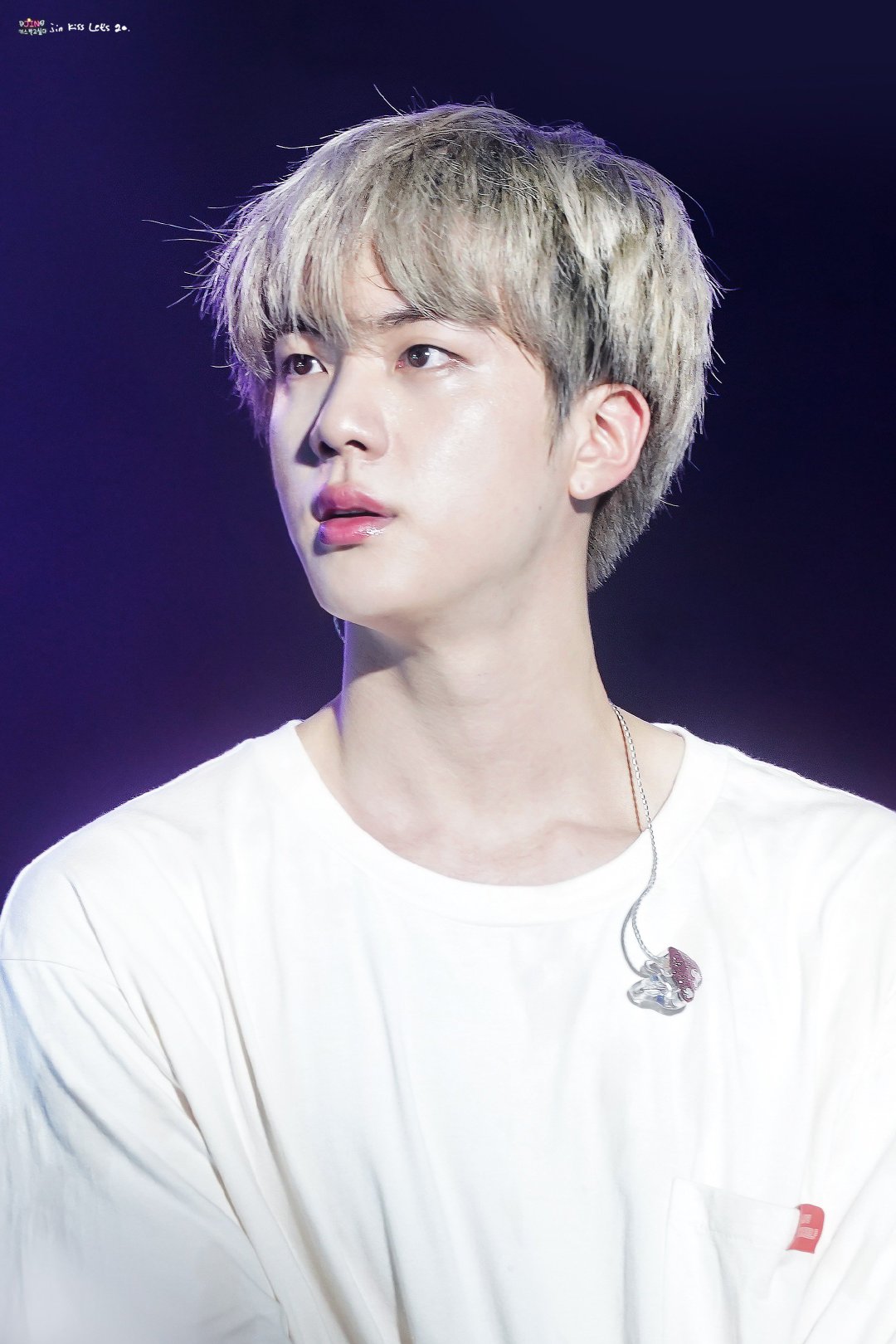 bts world tour "love yourself" in singapore jin