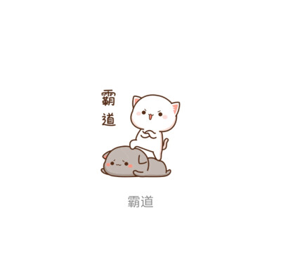 蜜桃猫