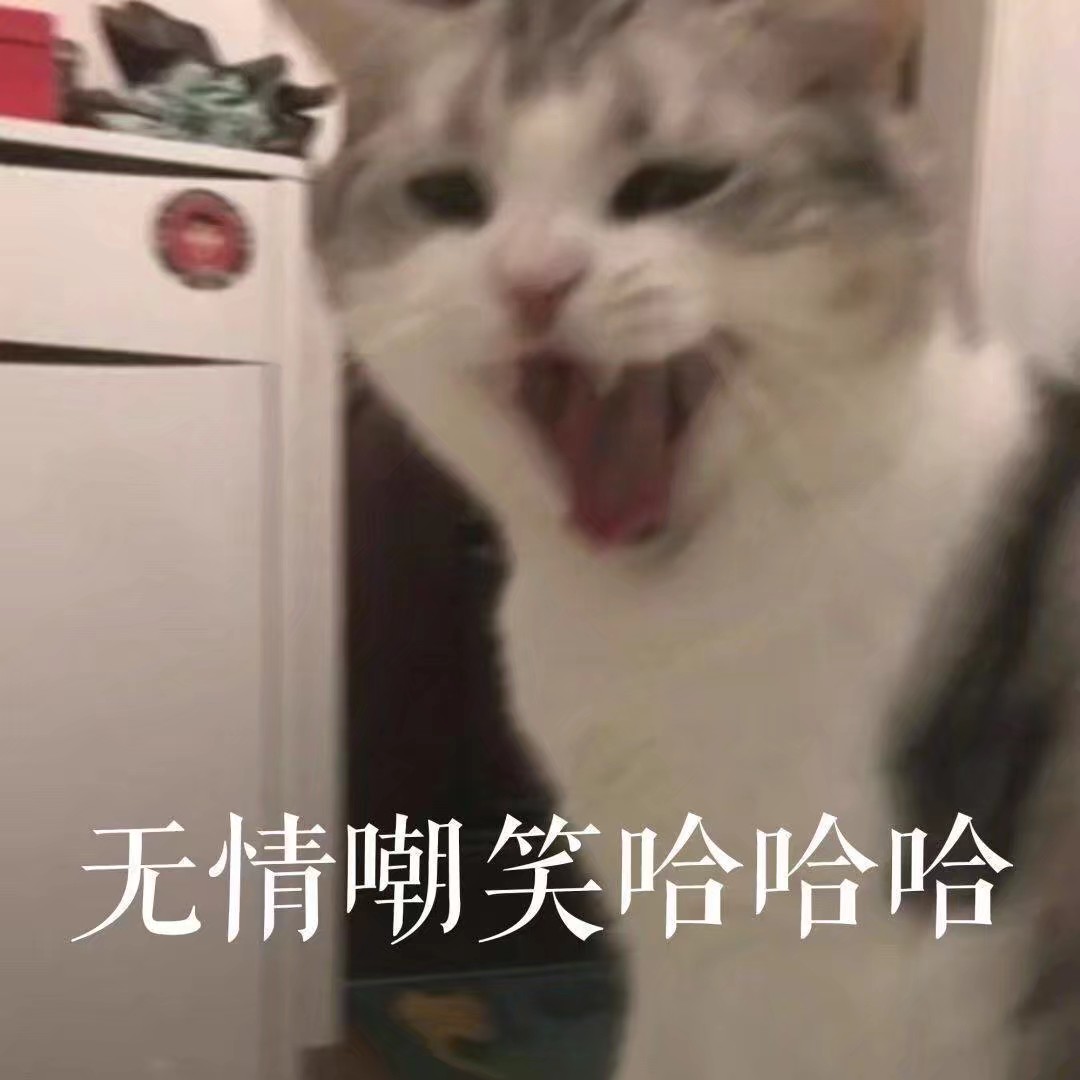 猫咪超可爱表情包^6161