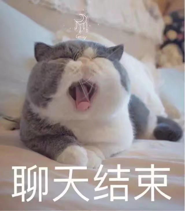 猫咪超可爱表情包^6161