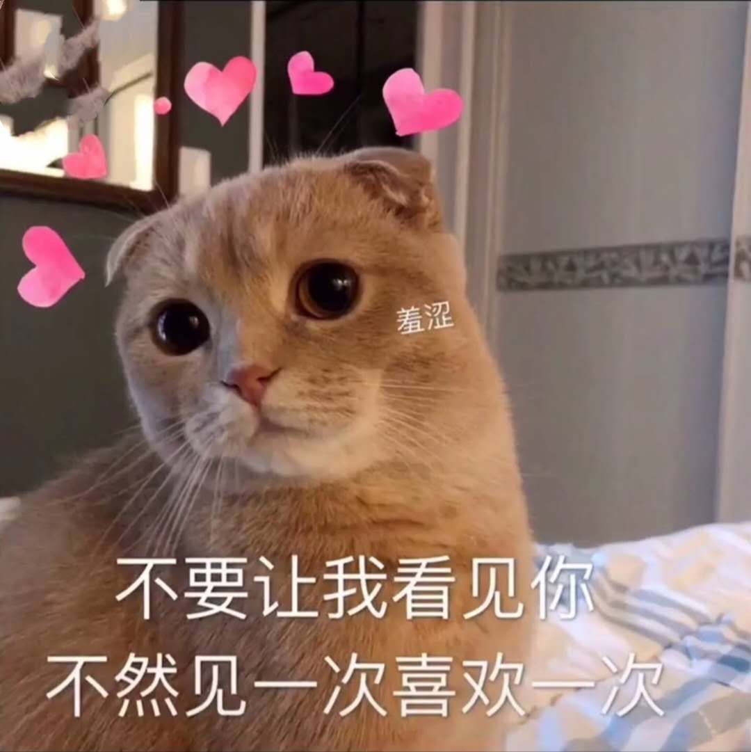 猫咪表情包嘻嘻 我也想上个推荐呀呀呀