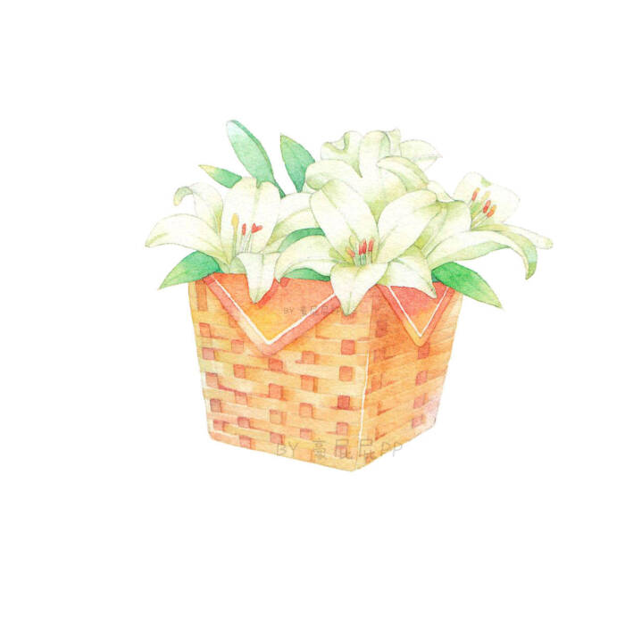 手帐素材 插画 手绘 彩绘 板绘 动漫 头像 壁纸 背景