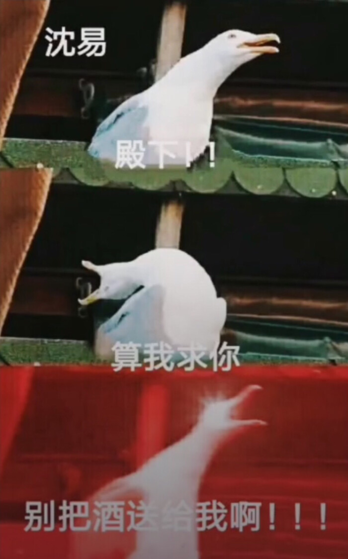 【jsdhwdmax_江疑】杀破狼沙雕表情包