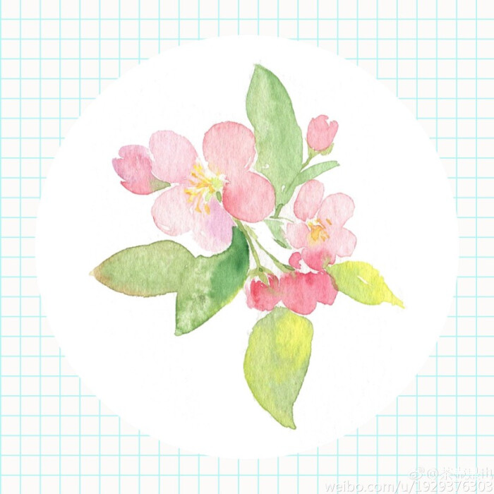 植物 花卉 手帐素材 插画 手绘 水彩 彩绘 板绘 动漫 头像 壁纸 背景