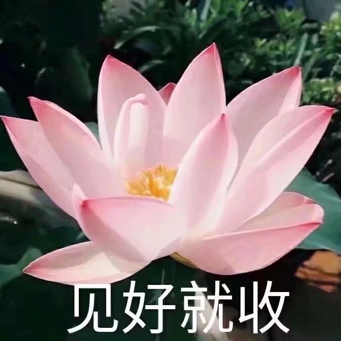 清心寡欲