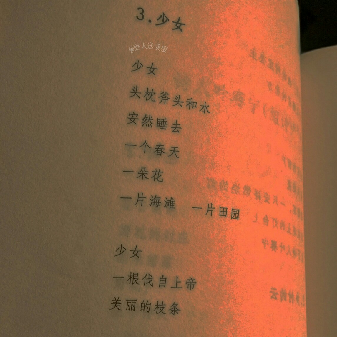 海子的诗