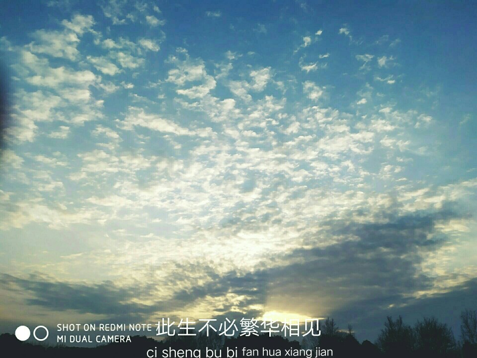 文艺,资料卡背景