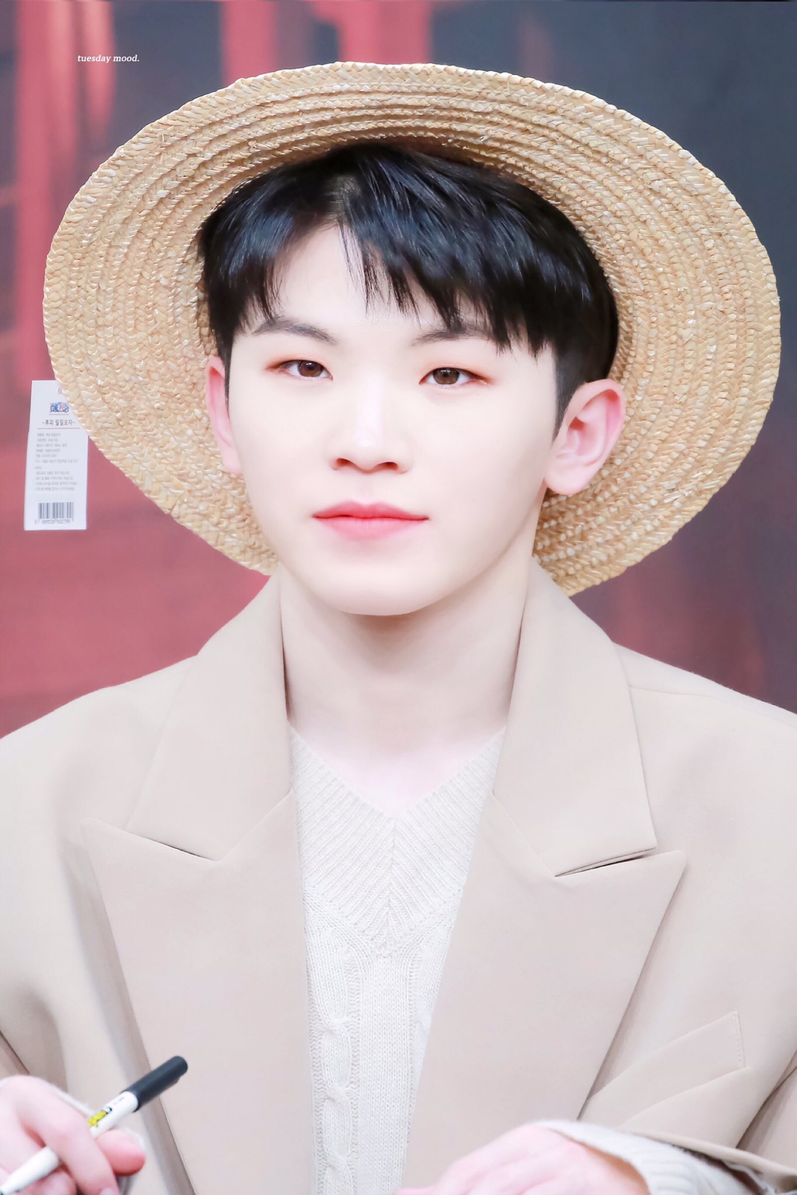 seventeen woozi 李知勋