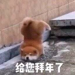 表情包 搞笑 斗图 沙雕
