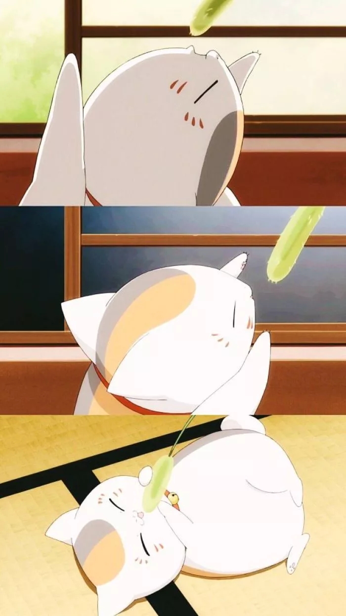 夏目友人帐 猫咪老师 夏目 壁纸