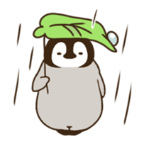 小企鹅表情包
