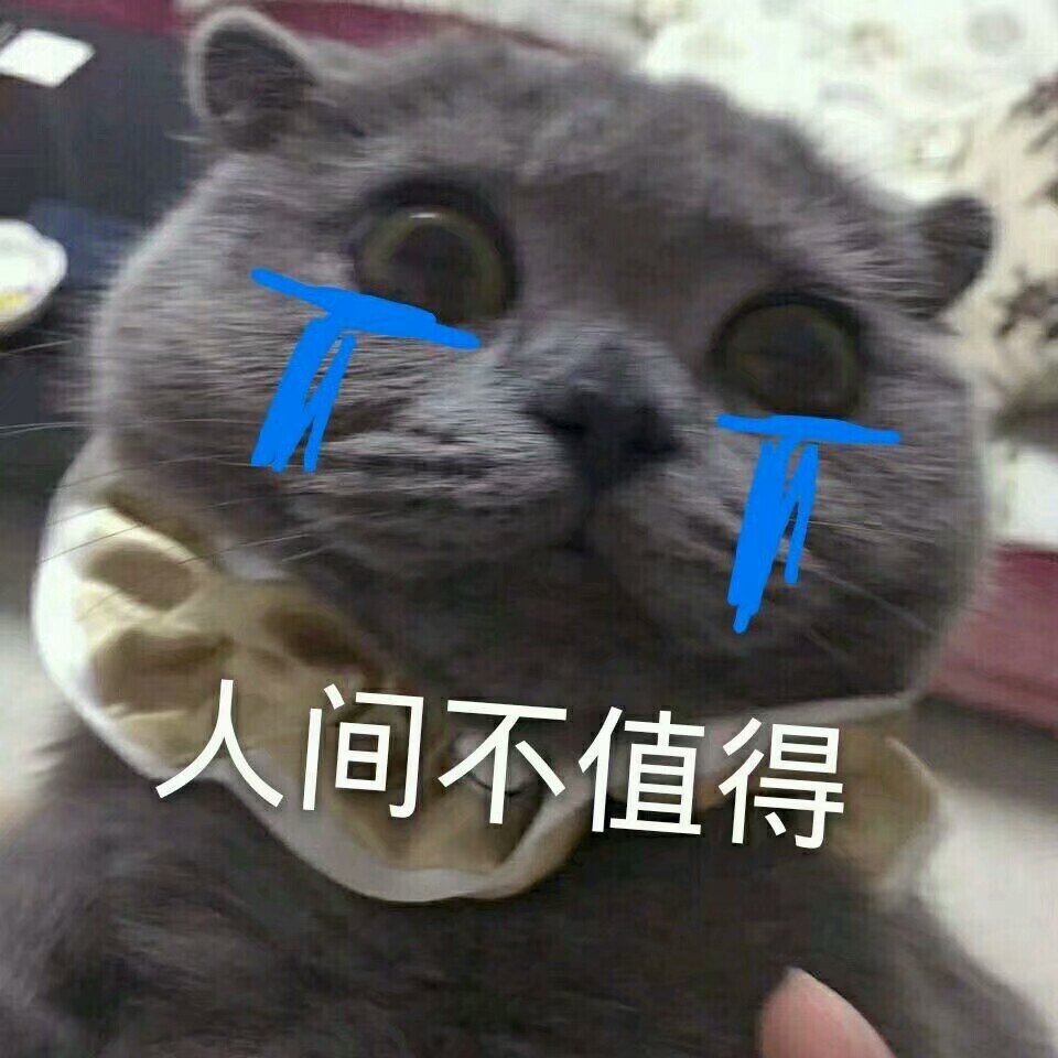 撩哥哥必备可爱表情包