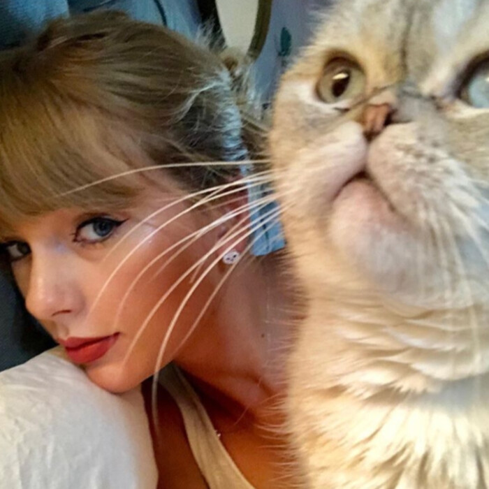 taylor swift 霉霉和她的猫