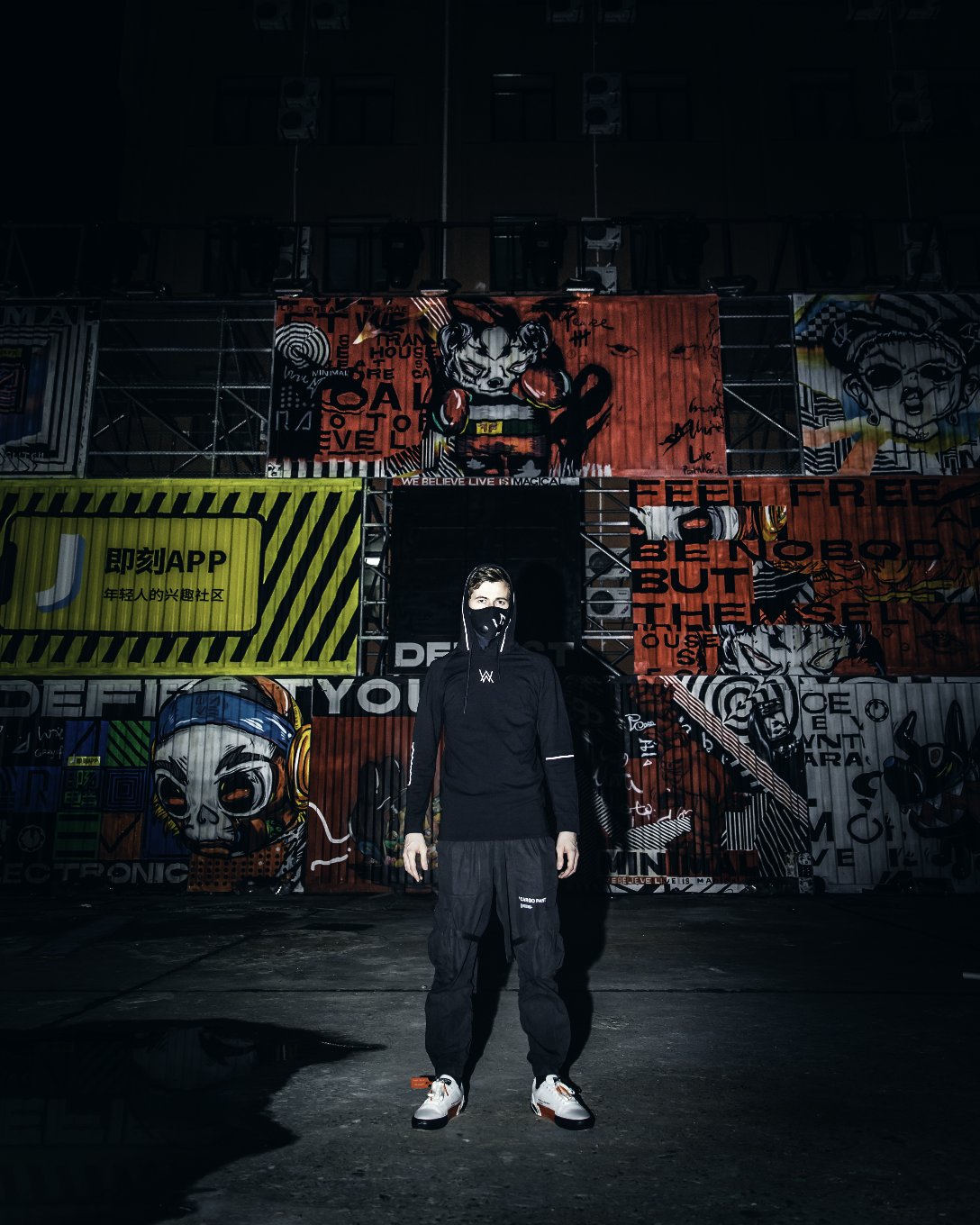 宝藏男孩alanwalker