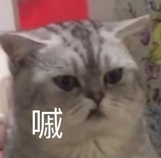 猫咪表情包