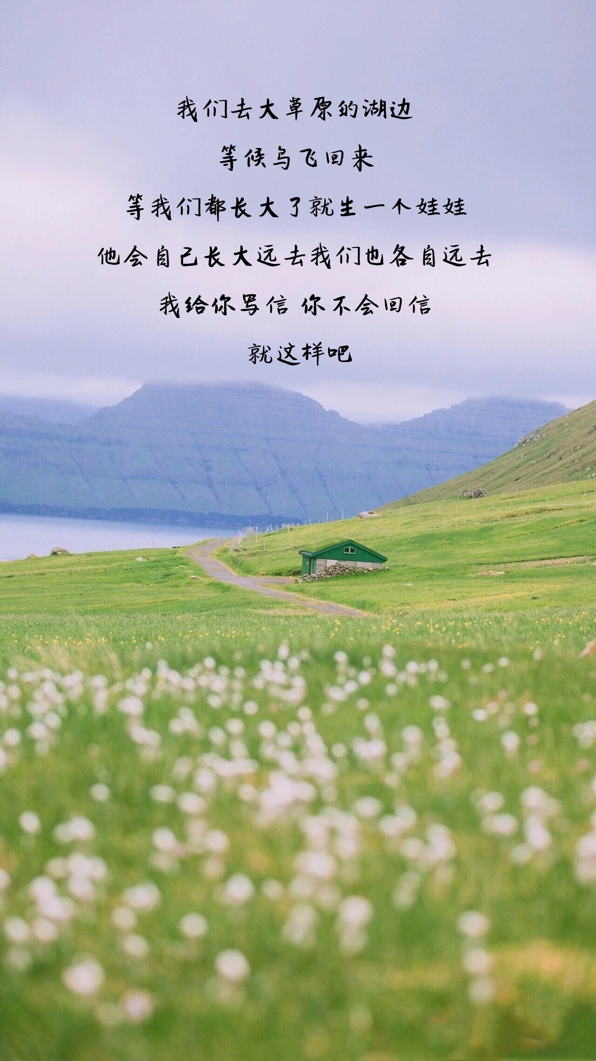 你不会回信就这样吧——高晓松《如果有来生》