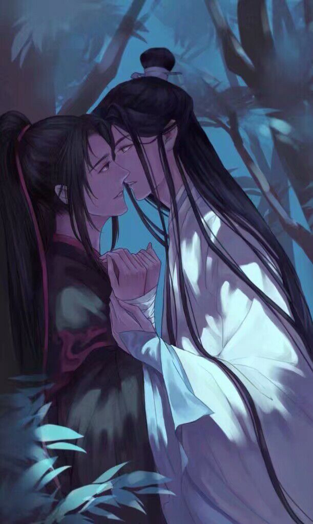 动漫#魔道祖师#小说#蓝忘机#魏无羡