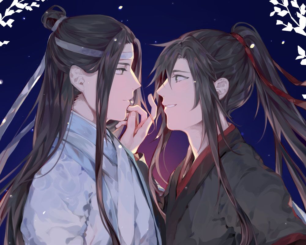 动漫#小说#魔道祖师#魏无羡#蓝忘机