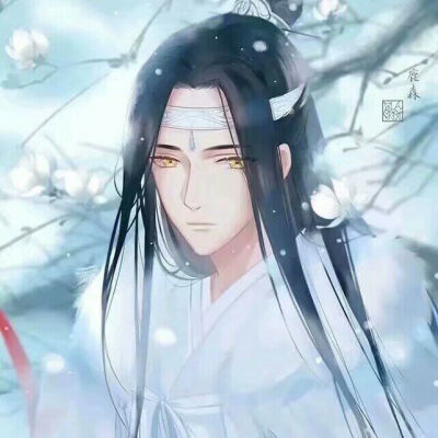 动漫#小说#魔道祖师#忘羡情头