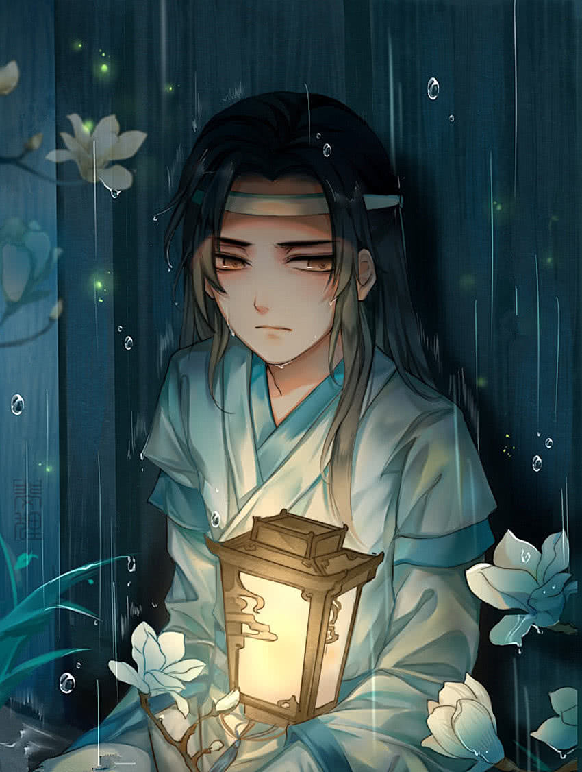 动漫#小说#魔道祖师#蓝忘机