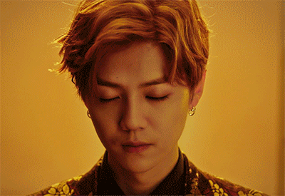 呆萌傻狍子 鹿晗 luhan #壁纸 #头像