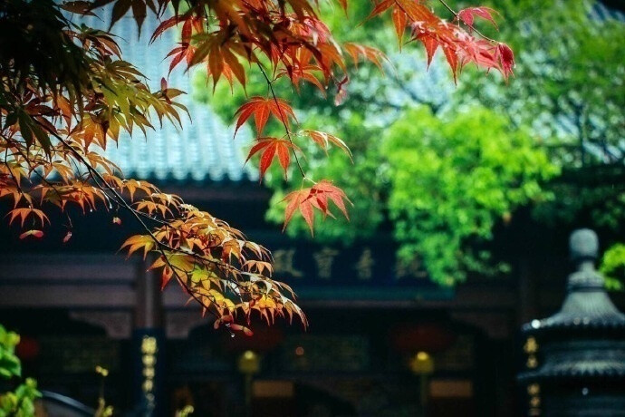 清晨入古寺,初日照高林——杭州灵隐寺.