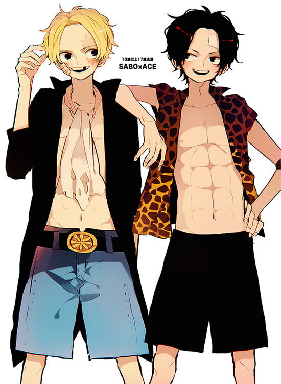 海贼王onepiece 兄弟们 漫画版 高清手机壁纸 动漫 q版套图 白底简约