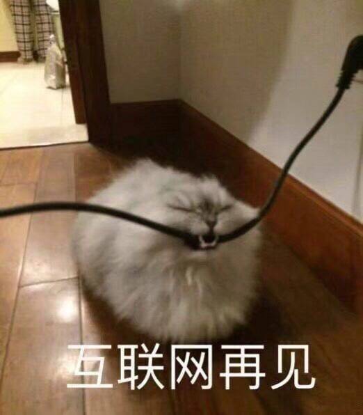 沙雕表情包 荷花 熊猫头 黄豆