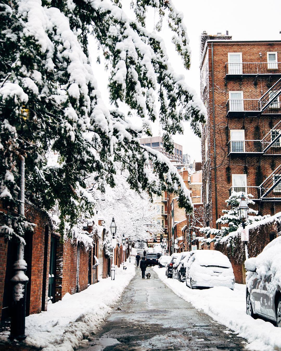 波士顿的街头雪景