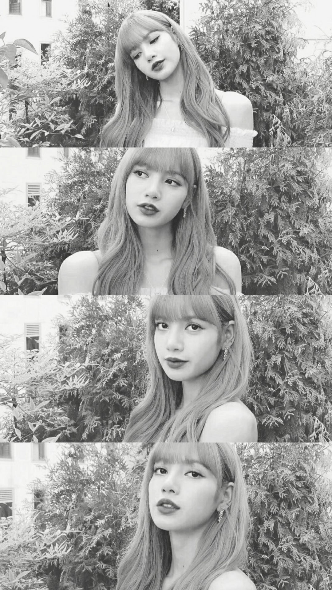 lisa壁纸0803沈央