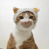 尐萌宠】猫咪头像 大肥猫hosico