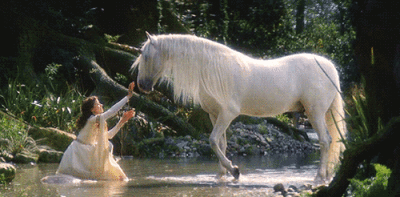 独角兽unicorn