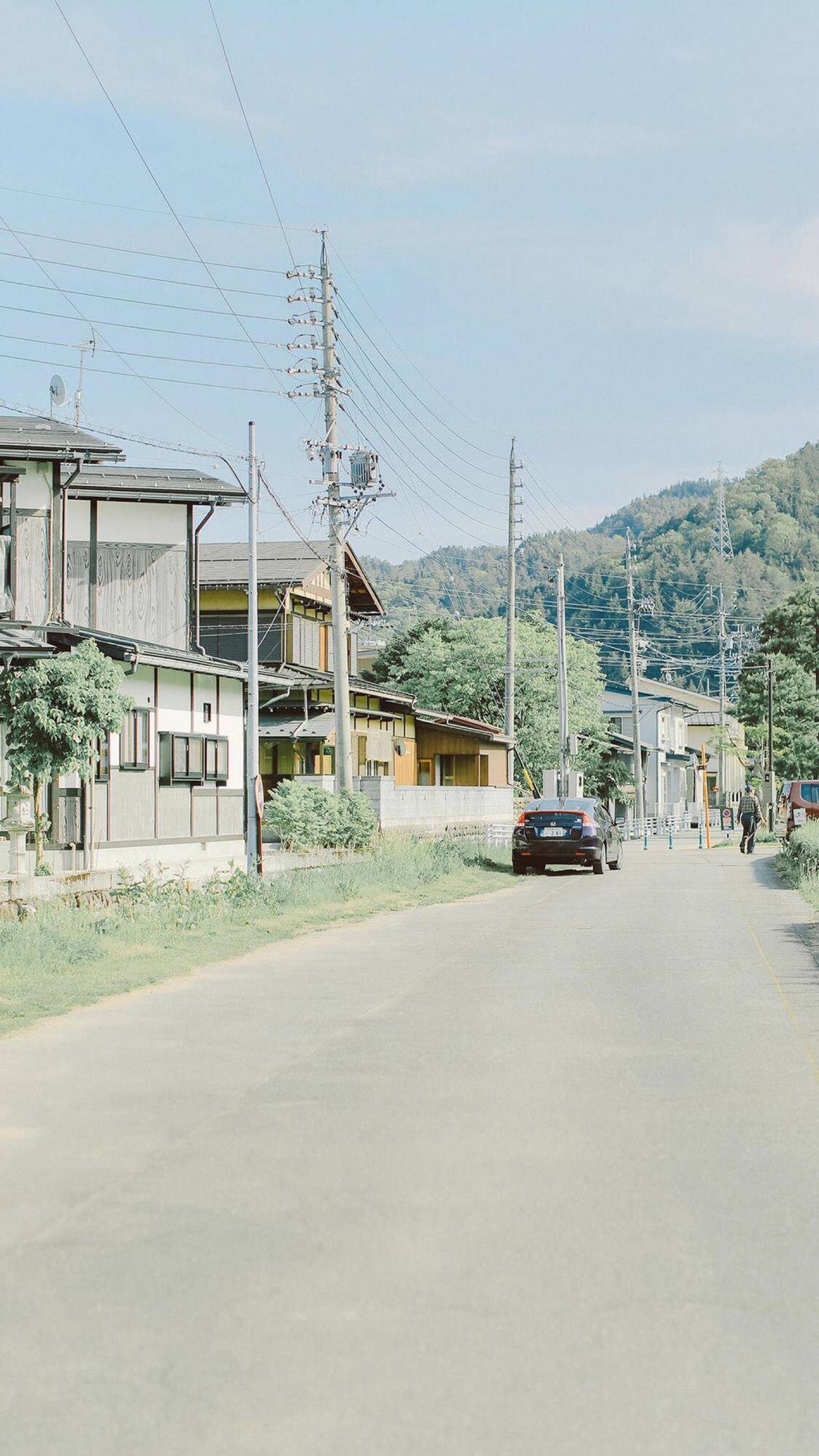 小清新日系绿色护眼唯美风景摄影无水印壁纸,长按图片点击查看原图