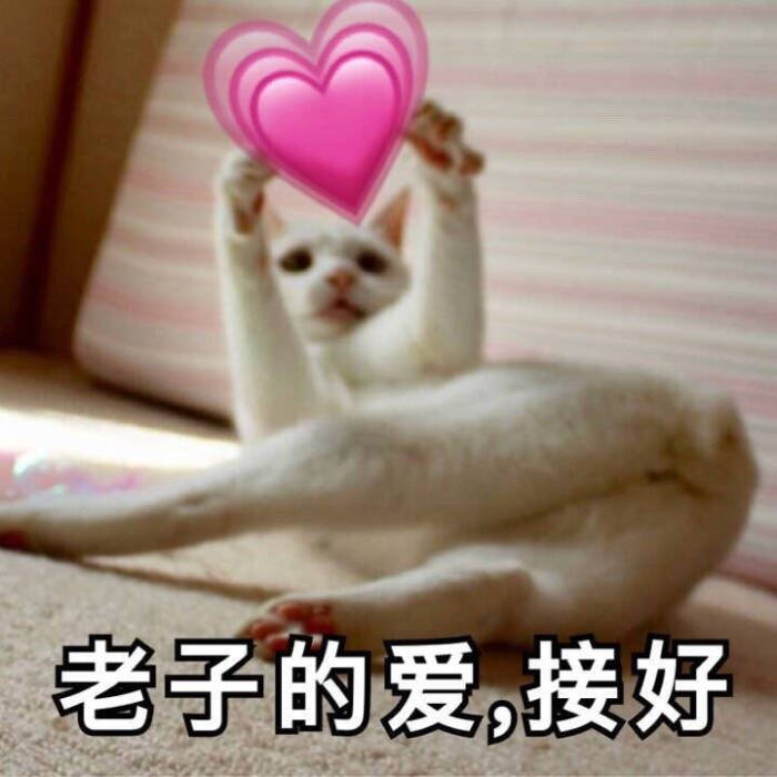 爱心表情包集合