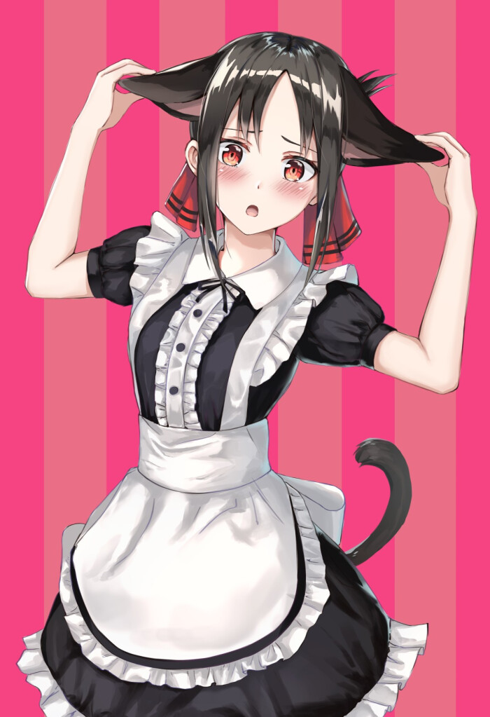 四宫辉夜 猫耳